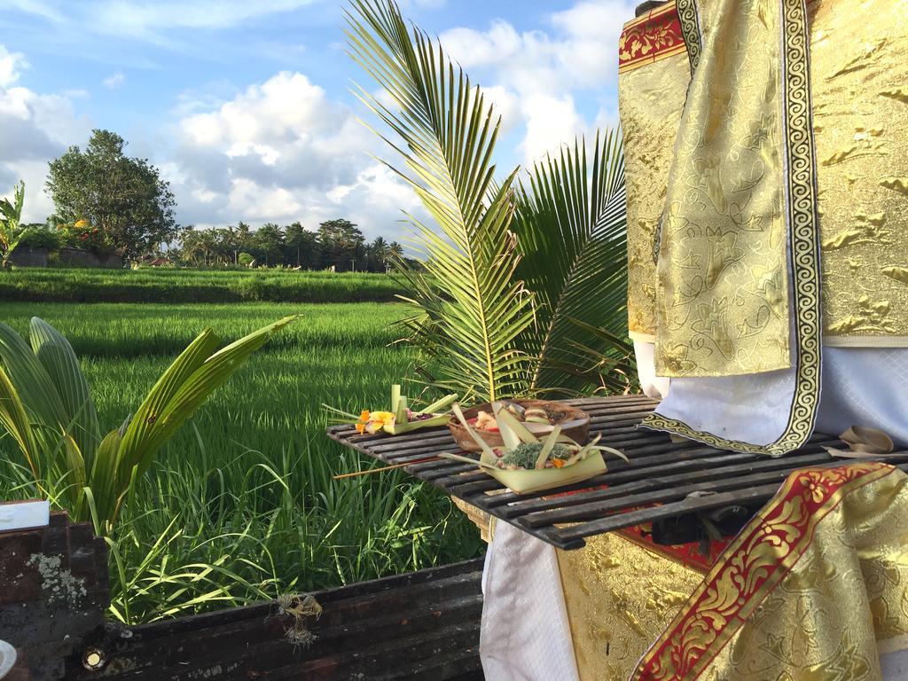 Suly Vegetarian Resort & Spa Ubud  Ngoại thất bức ảnh